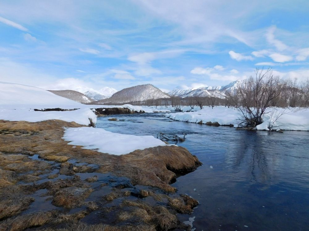Третья лужа.