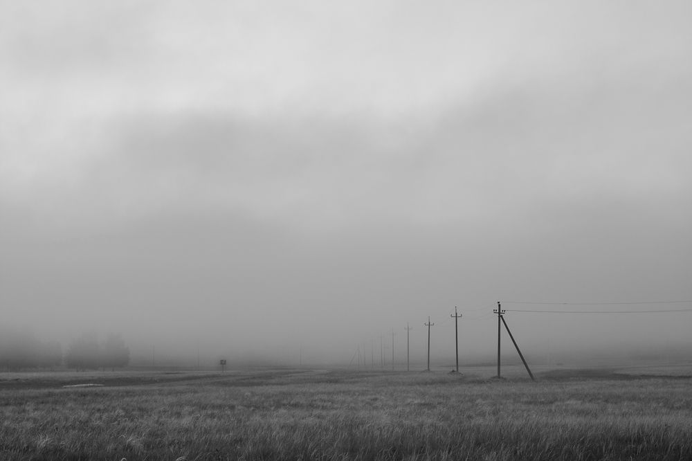 Photograph by Виталий Адмаев