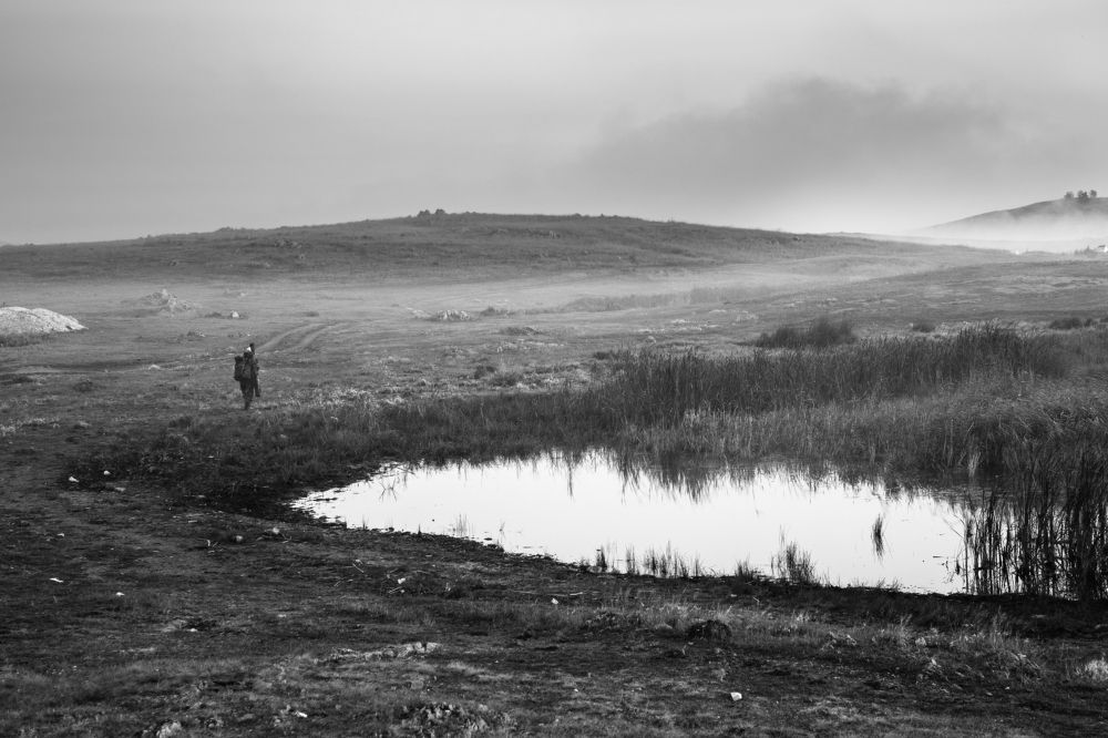 Photograph by Виталий Адмаев