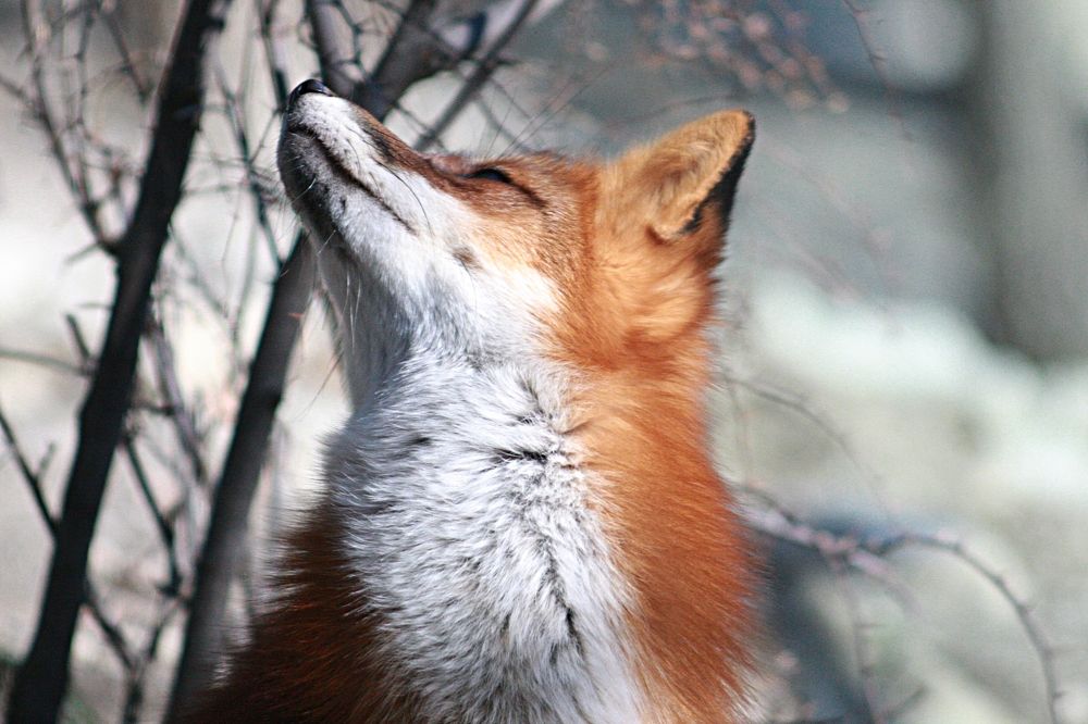 Photograph by Эдуард Попов