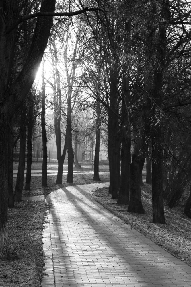Photograph by Павел Лаврухин