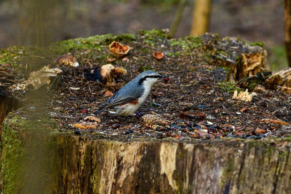 Photograph by Ксения Шилина