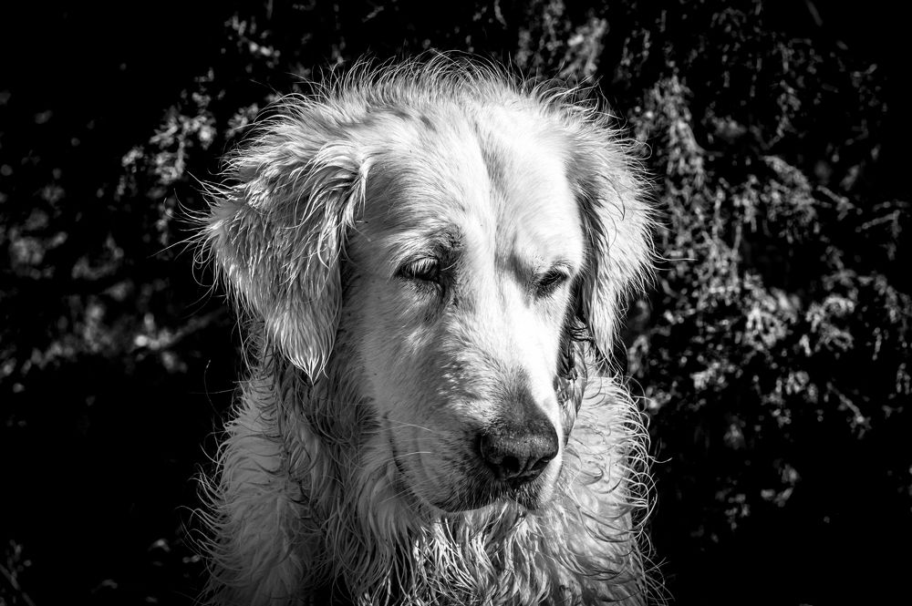 Photograph by Gennadiy Slezkin