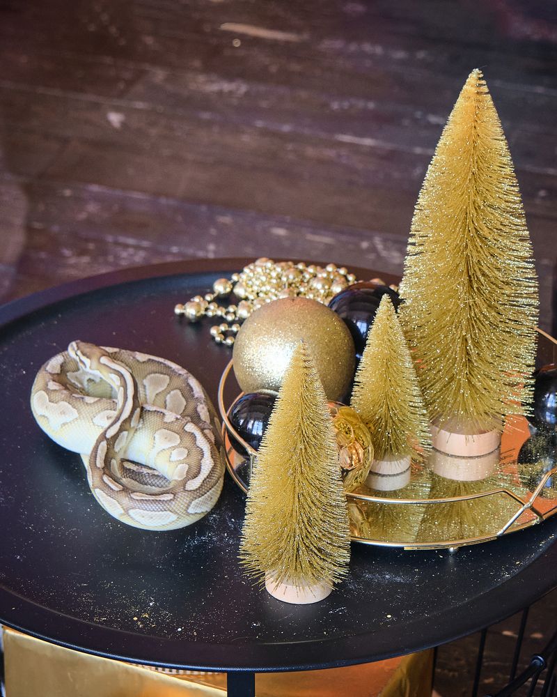 Photograph by Виктория Колышева