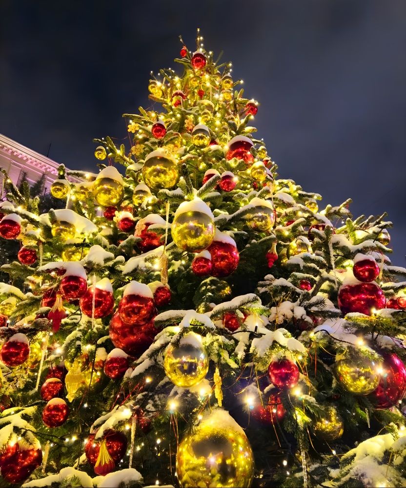 Photograph by Svetlana Toropoviene