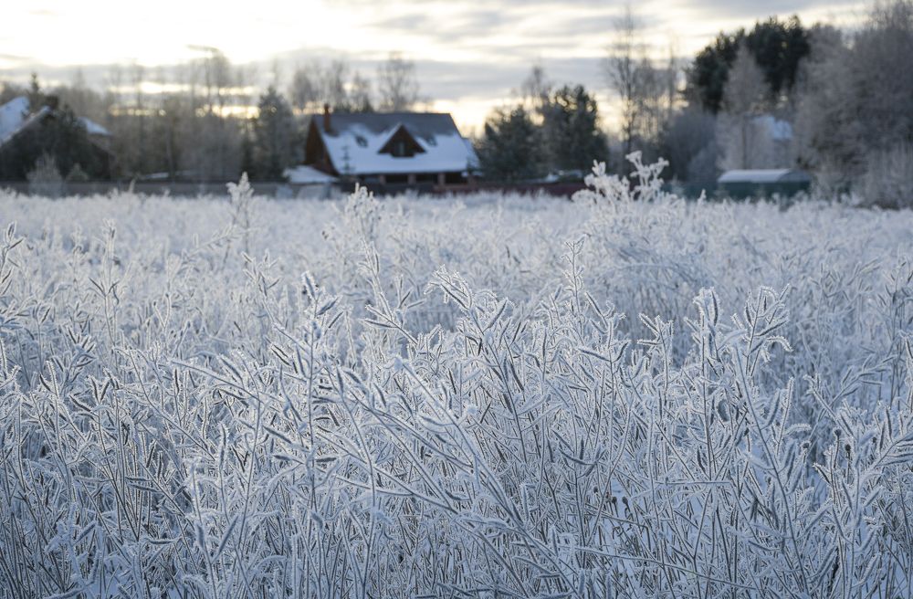 Photograph by Светлана Пронина