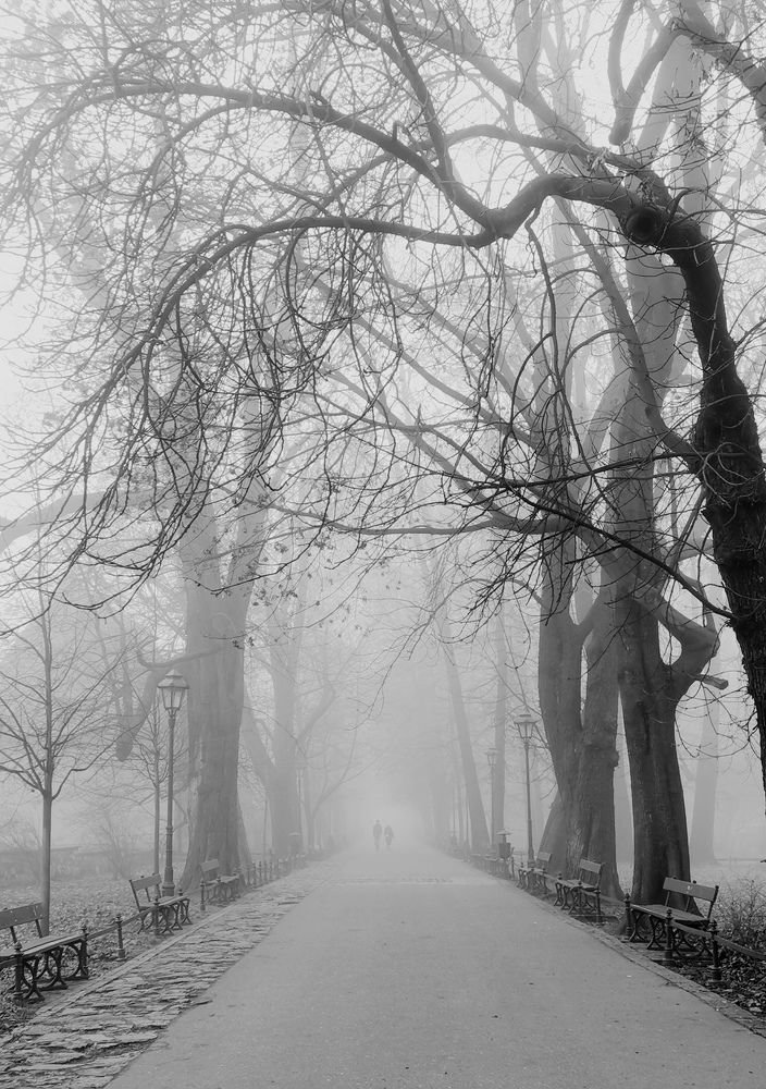 Photograph by Paulina Michałowska