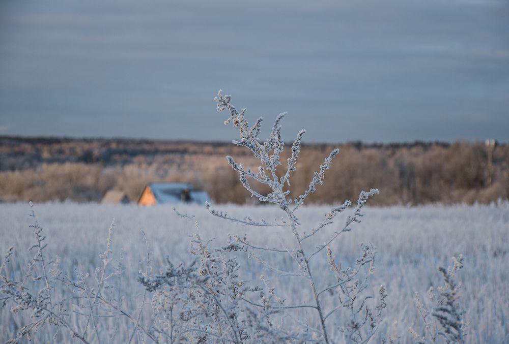 Photograph by Светлана Пронина
