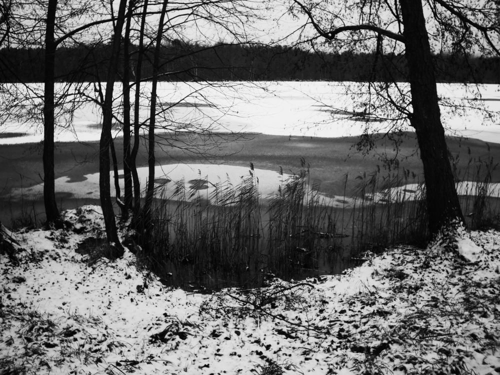 Photograph by Алексей Серпов