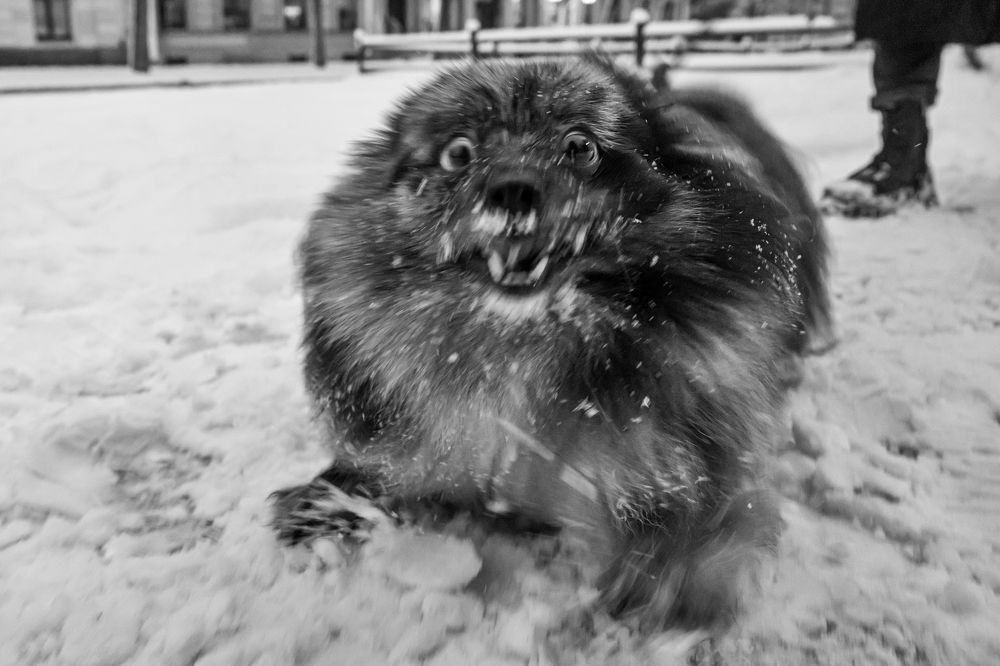 Photograph by Dimitri Bakhtadze