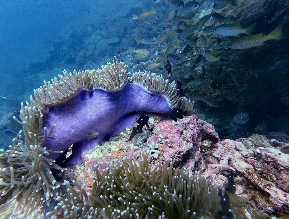 Photograph by Игорь Чернышов