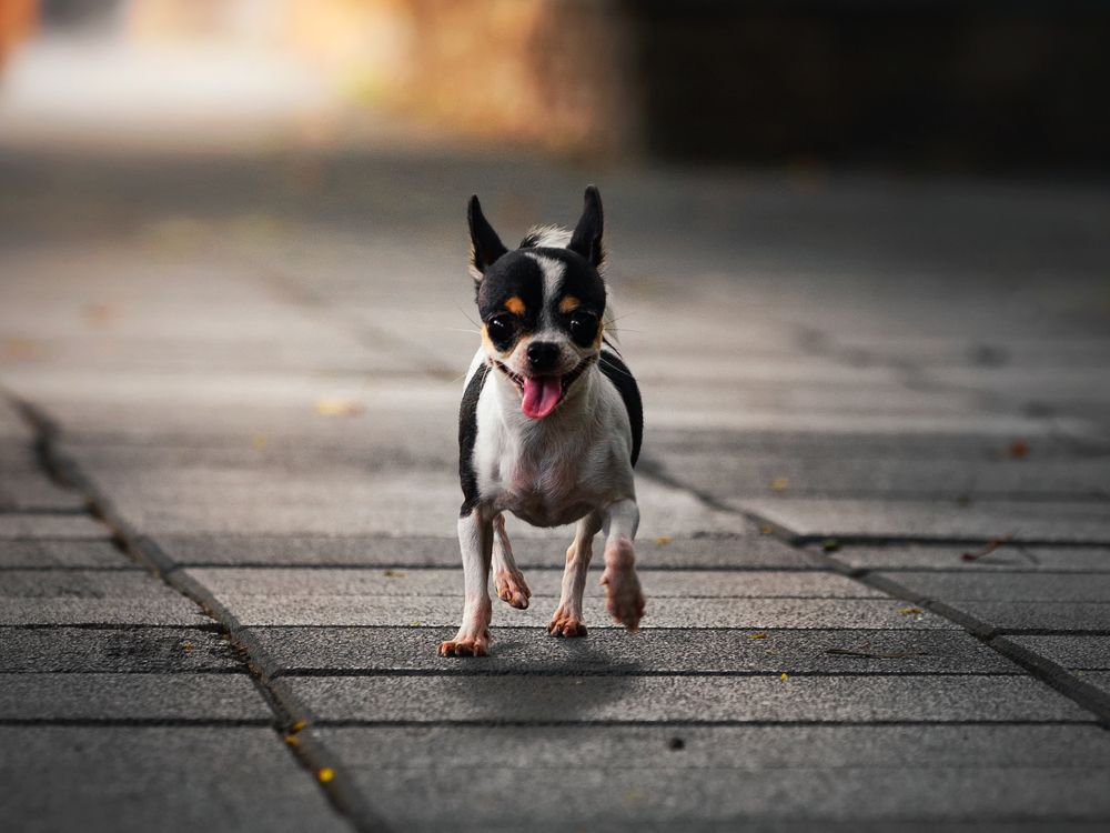 Photograph by Ni Bruce