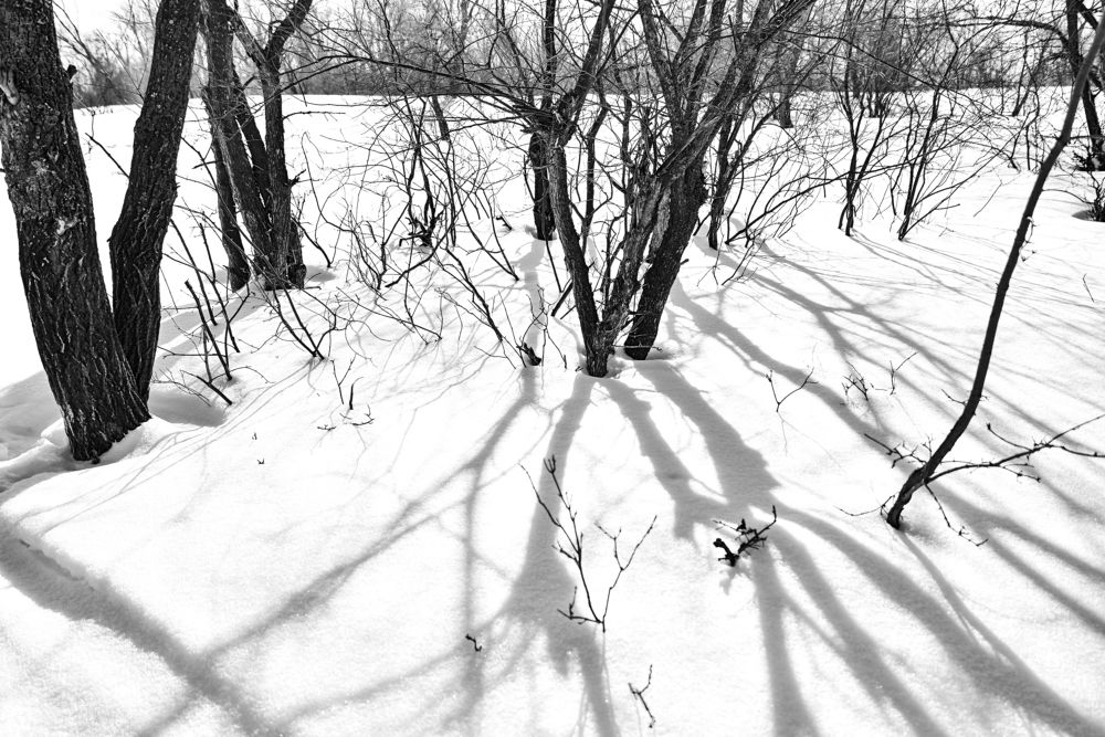 Photograph by Мария Негреева