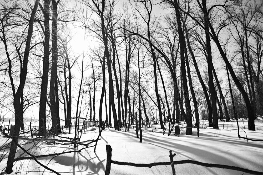 Photograph by Мария Негреева