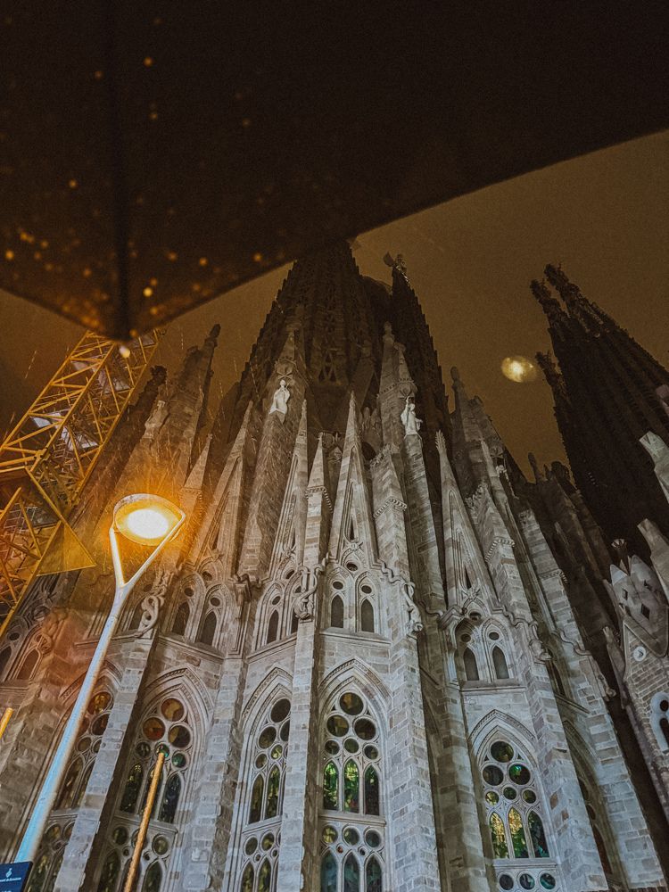 Photograph by Julia Smilovitsky