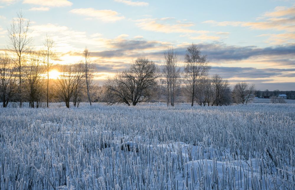 Photograph by Светлана Пронина