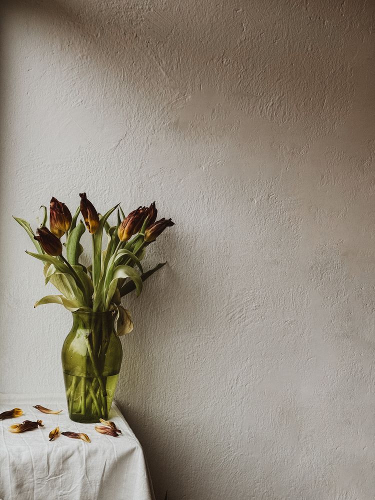 Photograph by Julia Smilovitsky