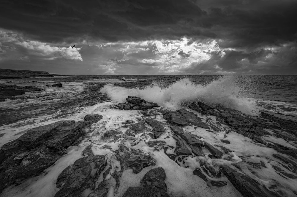 Photograph by Алексей Мякота