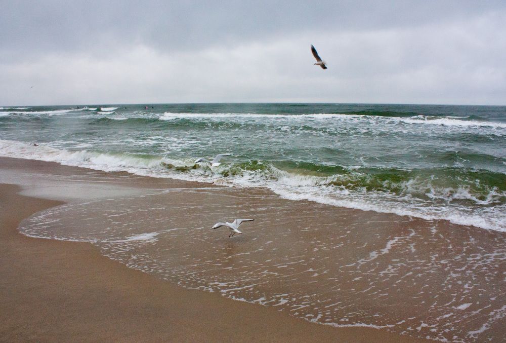 Photograph by Мария Самоловова