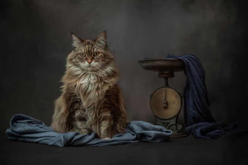 Photograph by Goené Gertrude