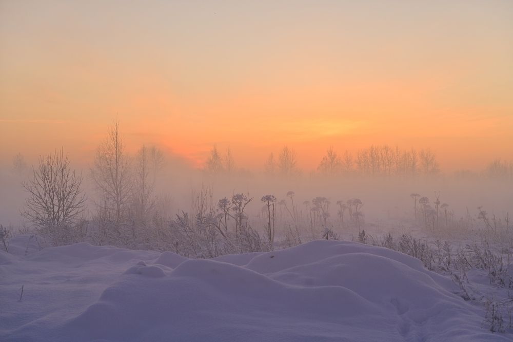 Photograph by Наталья Сергеева