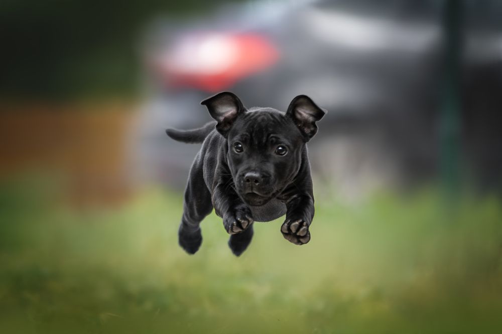 Photograph by Ирина Голомб