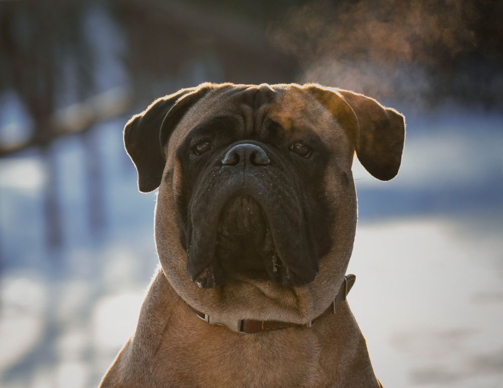 Photograph by Светлана Пронина