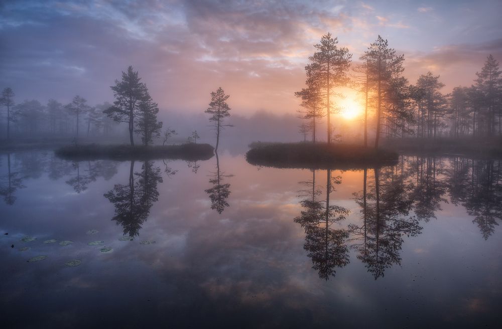 ... с солнцем веселее ...