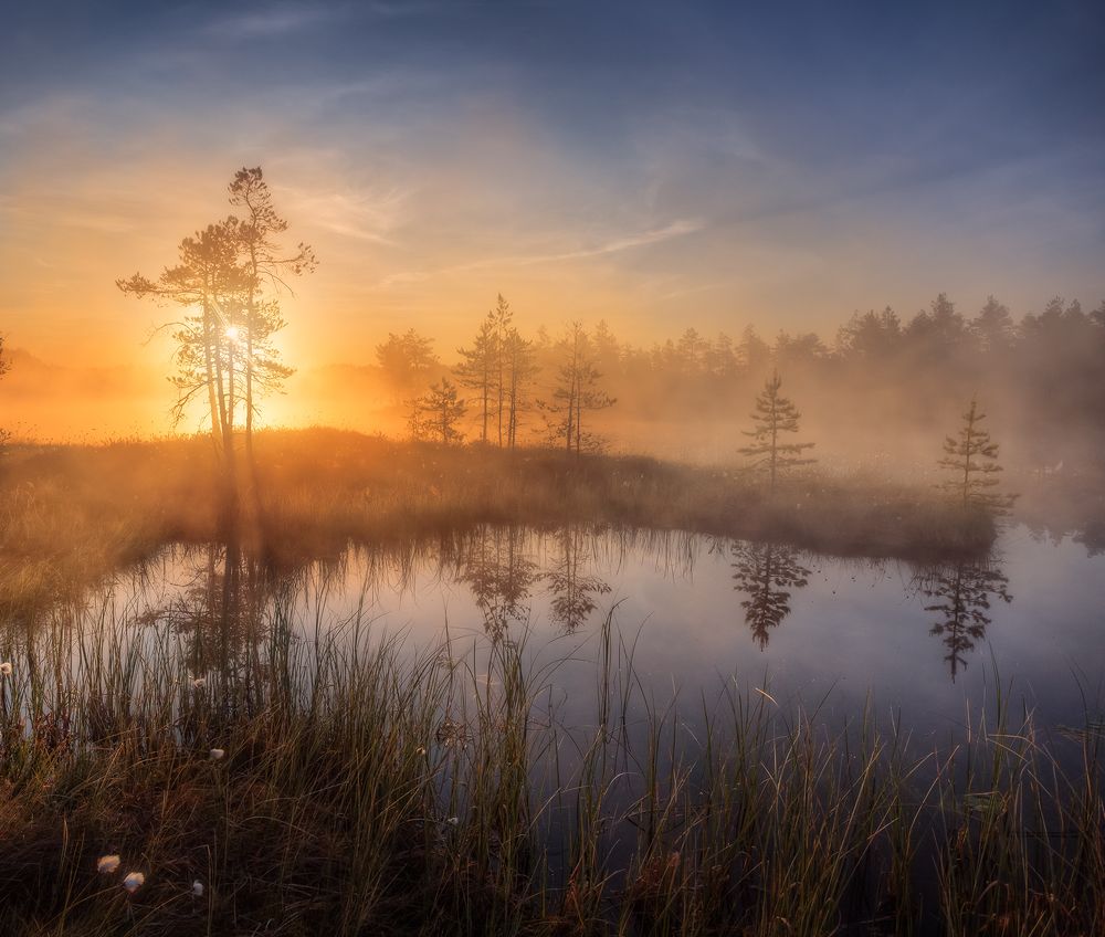 Доброе утро ...