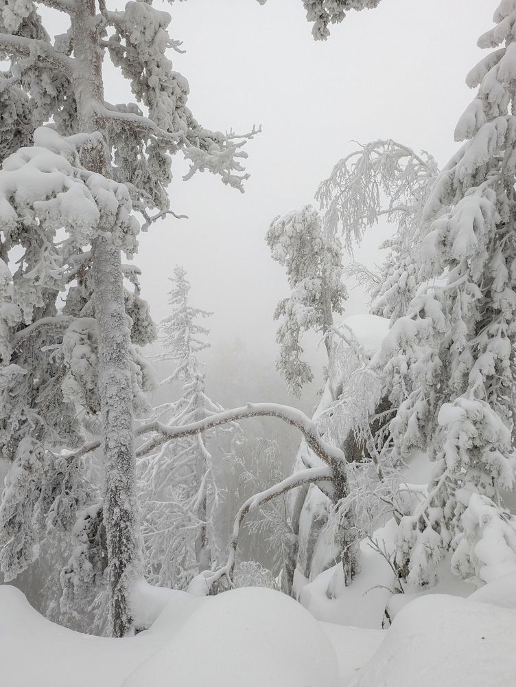 Photograph by Ишниязов Марсель