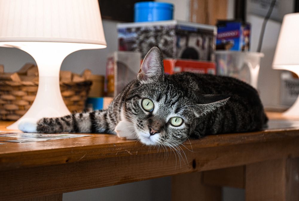 Photograph by Светлана Пронина