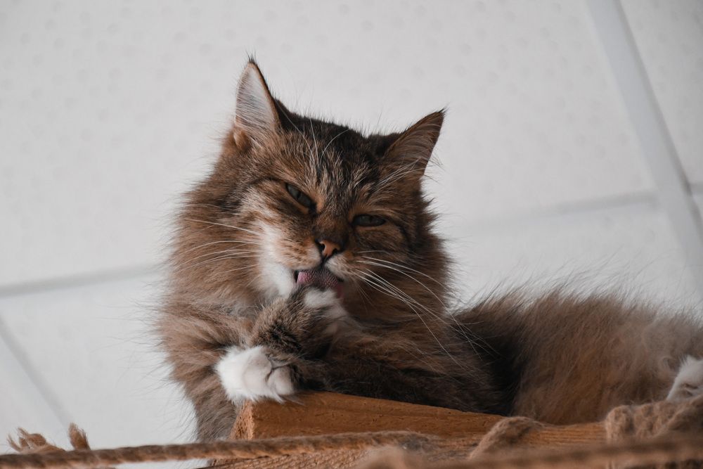 Photograph by Светлана Пронина