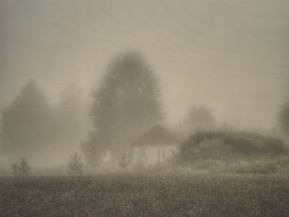 Фотография автора Максим Светличный