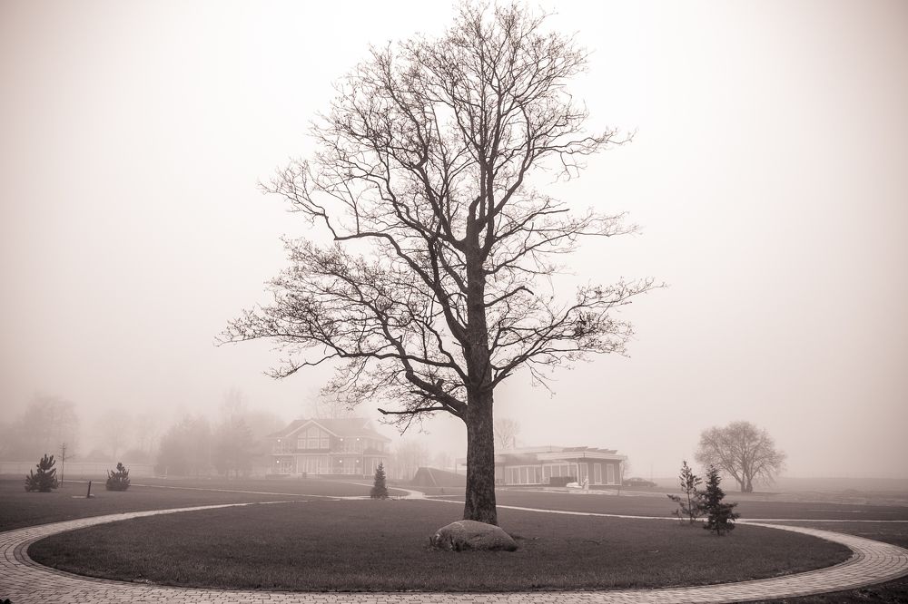 Фотография автора Максим Светличный