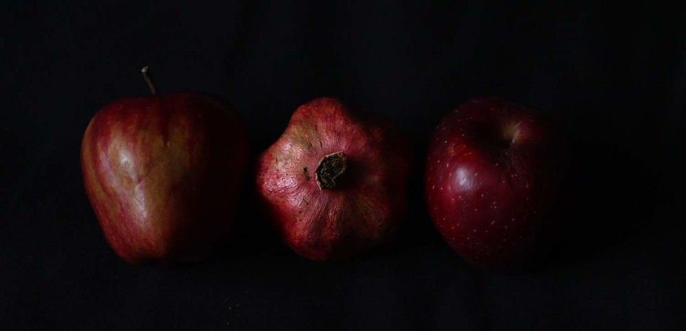 Photograph by Ксения