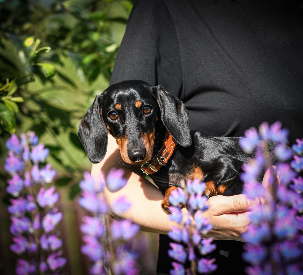 Photograph by Светлана Пронина