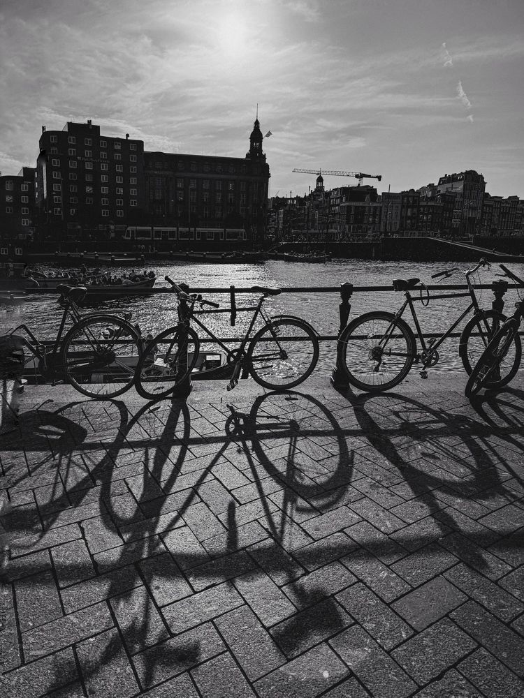 Photograph by Julia Smilovitsky