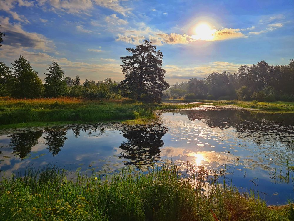 МАГИЯ СОЛНЕЧНОГО ДНЯ.