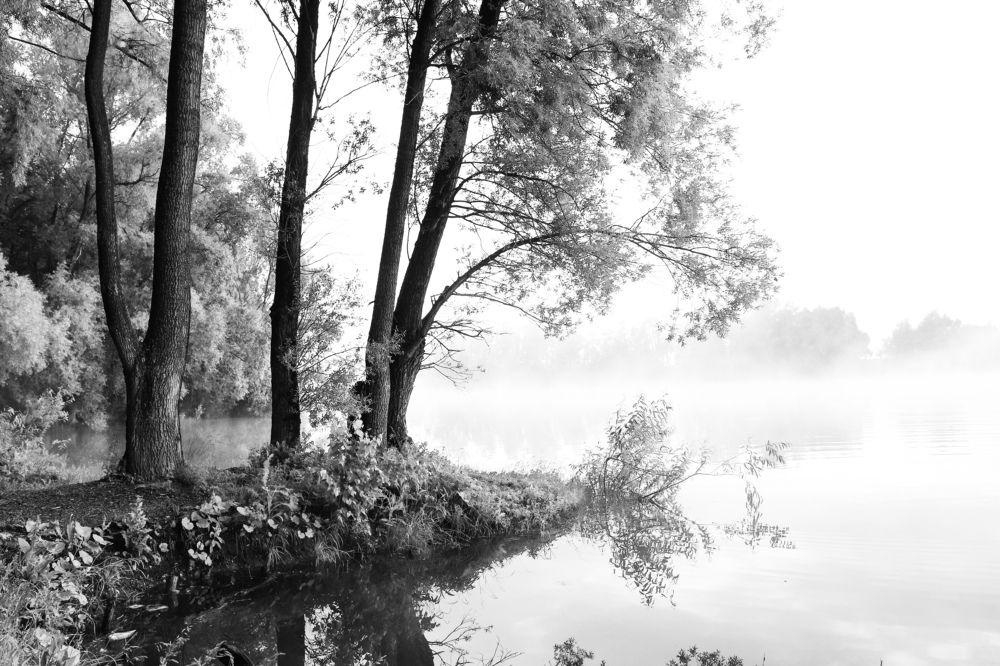 Photograph by Олеся Постнова