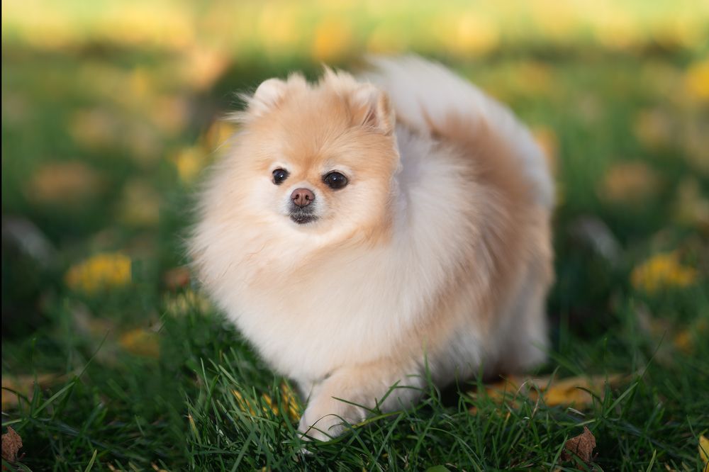 Photograph by Валентина Найдюк