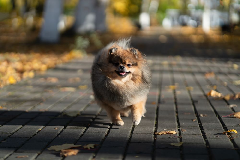 Photograph by Валентина Найдюк