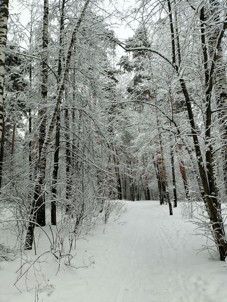 Photograph by Ксения