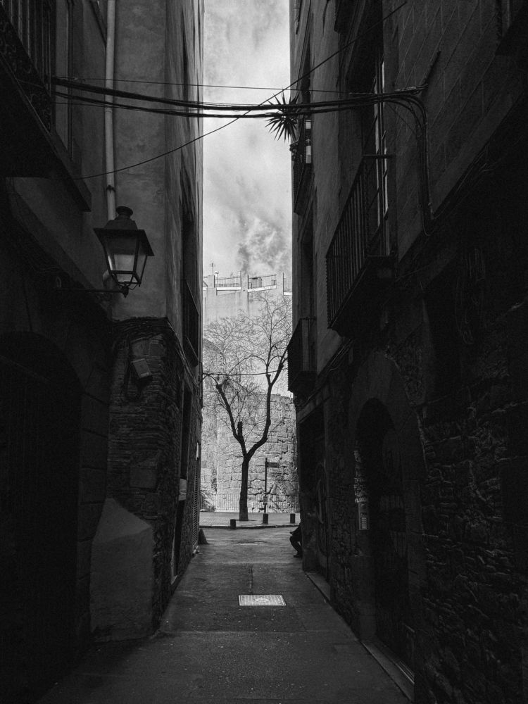 Photograph by Julia Smilovitsky