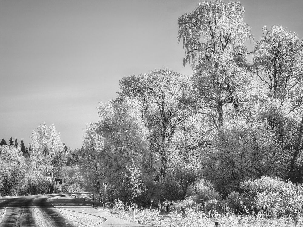 Photograph by Максим Кольцов