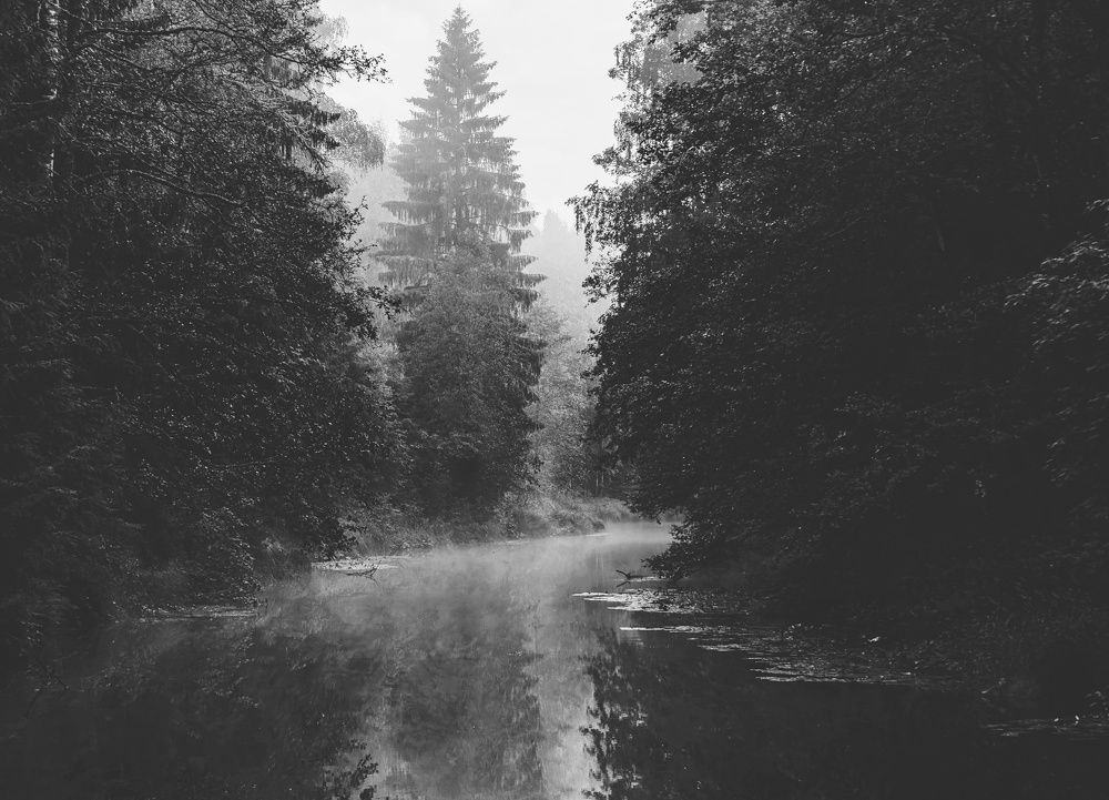 Photograph by Максим Кольцов