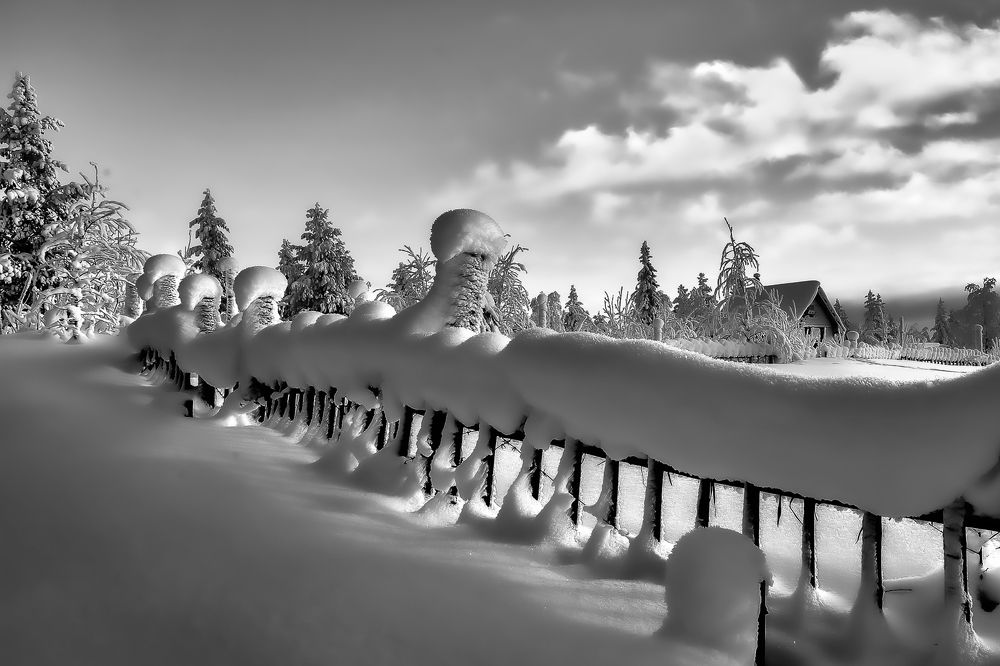 Photograph by Татьяна Кузьмина