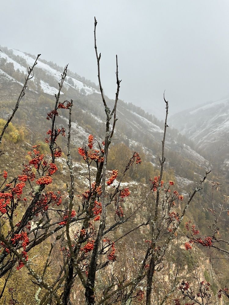 Фотография автора Татьяна Брык