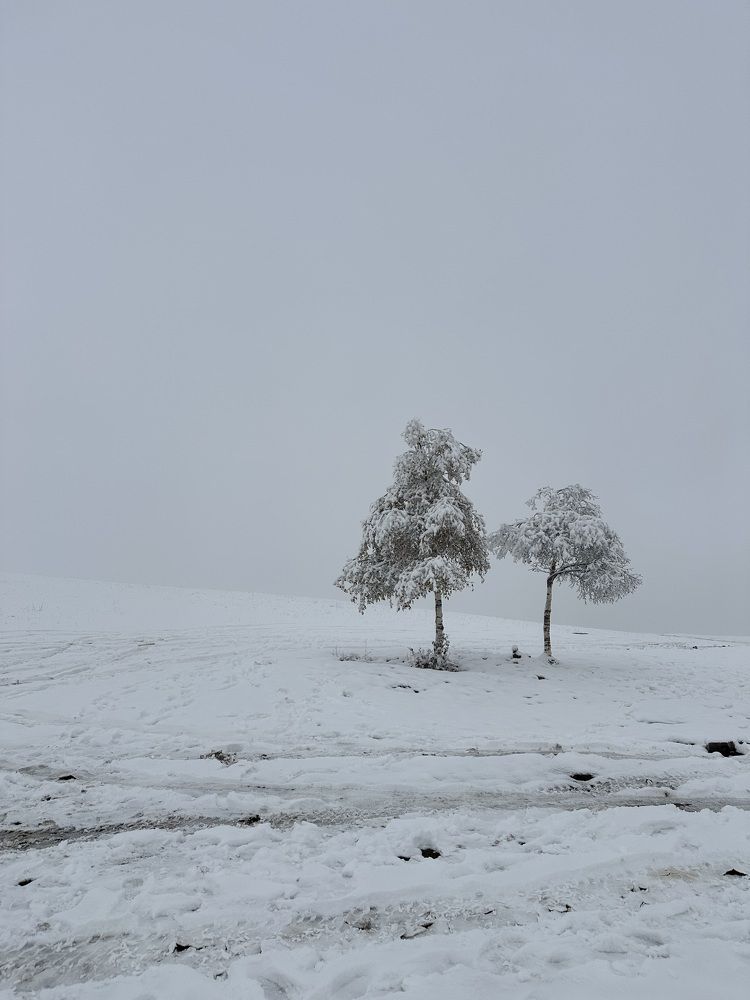 Фотография автора Татьяна Брык