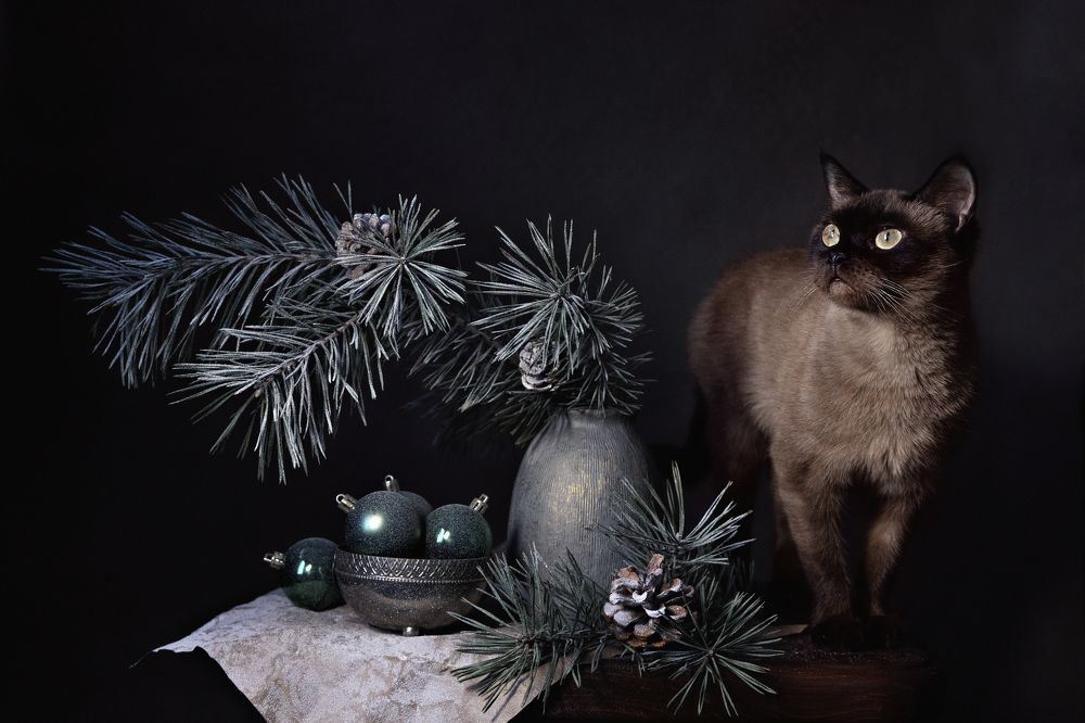 Photograph by Александра