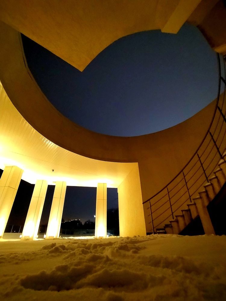 Photo #11593218